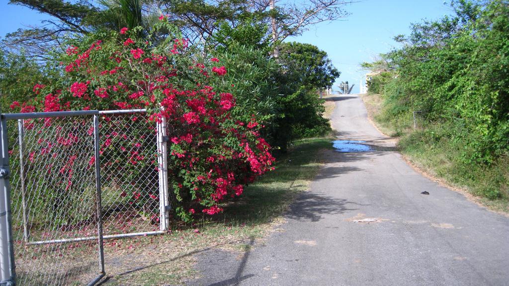 Villa Tranquility By The Sea à Vieques Extérieur photo