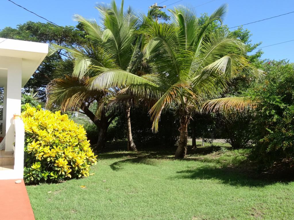 Villa Tranquility By The Sea à Vieques Extérieur photo