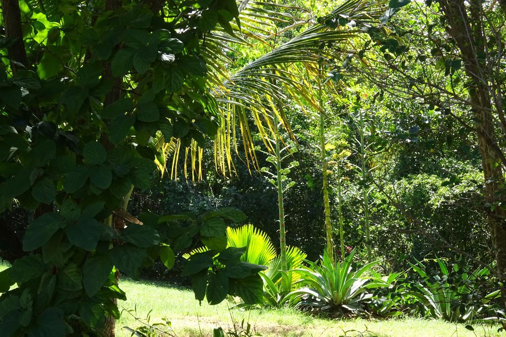 Villa Tranquility By The Sea à Vieques Chambre photo