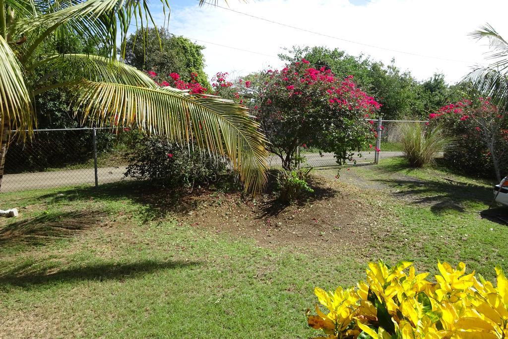Villa Tranquility By The Sea à Vieques Chambre photo