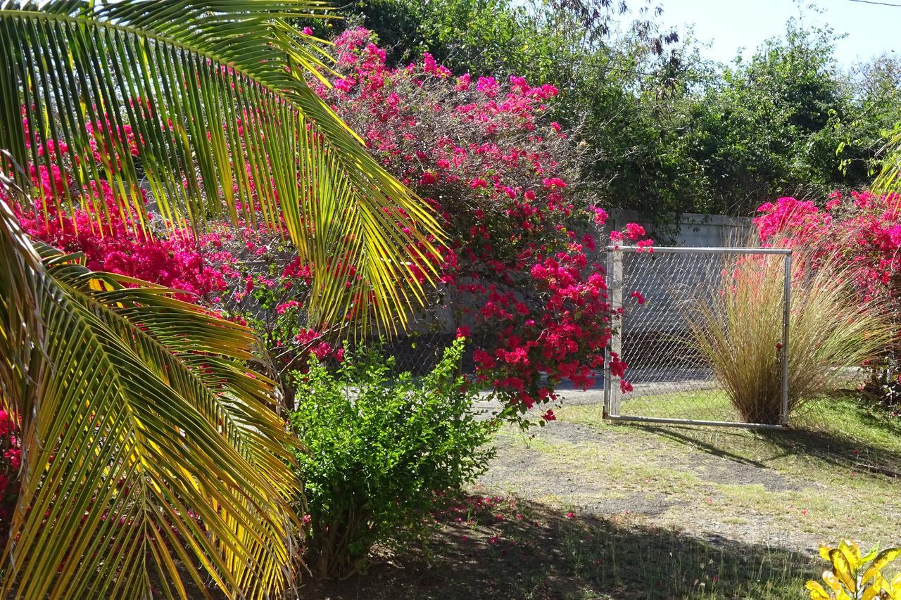 Villa Tranquility By The Sea à Vieques Extérieur photo