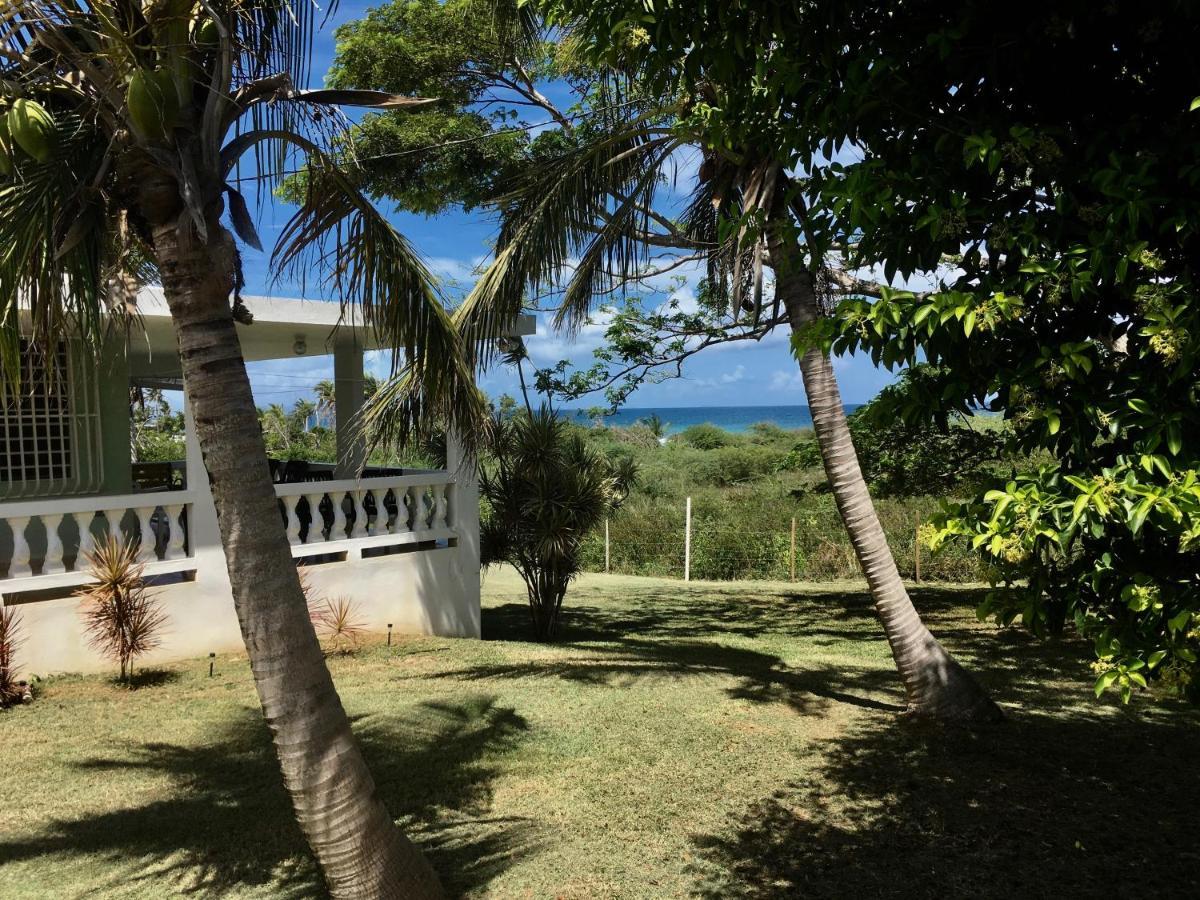 Villa Tranquility By The Sea à Vieques Extérieur photo