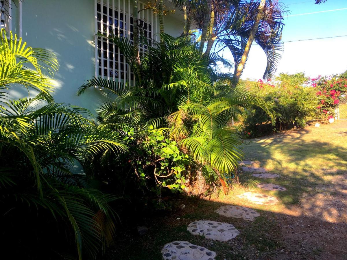 Villa Tranquility By The Sea à Vieques Extérieur photo