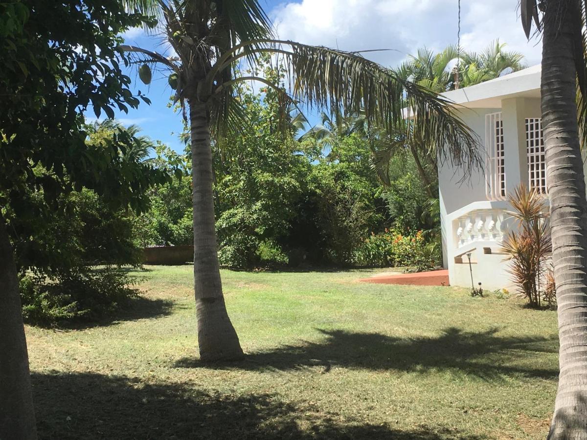 Villa Tranquility By The Sea à Vieques Extérieur photo